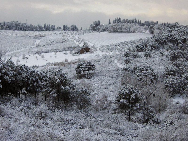 La magica atmosfera del Chianti innevato